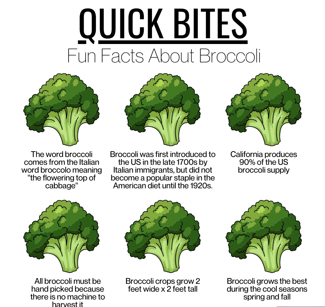 Broccoli: Know Your Nutritional Powerhouse! - Nutrition